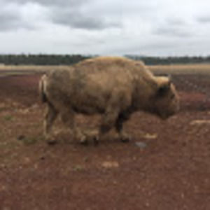 Meet your Posher, Nicholas